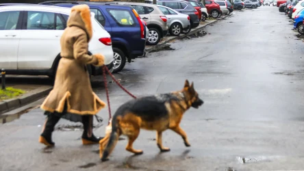 Czy wolno przekroczyć jezdnię poza przejściem dla pieszych?