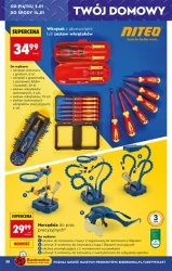 Noworoczne hity i inspiracje! - Biedronka