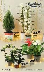 Sylwestrowe promocje! - Netto