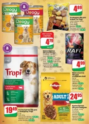 Вітаємо з Новим 2026 роком! - Діно!