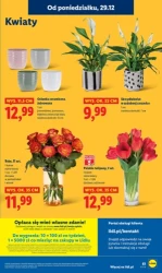 Okazje na wyciągnięcie ręki! - Lidl