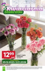 Zasmakuj w polskich hitach - Stokrotka