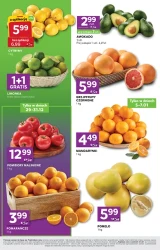 Ekspresowe hity na każdy dzień - Stokrotka express