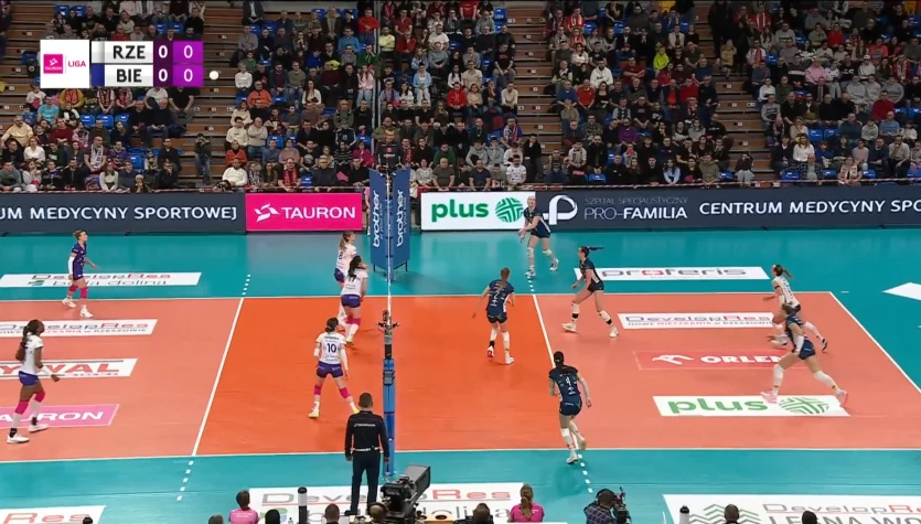 Developres Rzeszów - BKS Bostik ZGO Bielsko-Biała. Skrót meczu. WIDEO