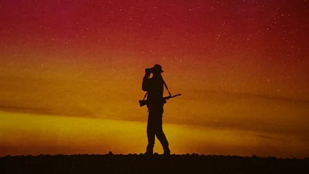 Czysta Polska - odcinek 243