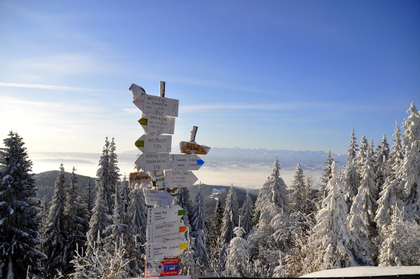 Trasa dobra dla biegaczy na nartach, a także pieszych wędrowców. Co warto o niej wiedzieć?