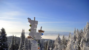 Na zimowy spacer i na biegówki. Ten szlak zimą nie ma sobie równych 