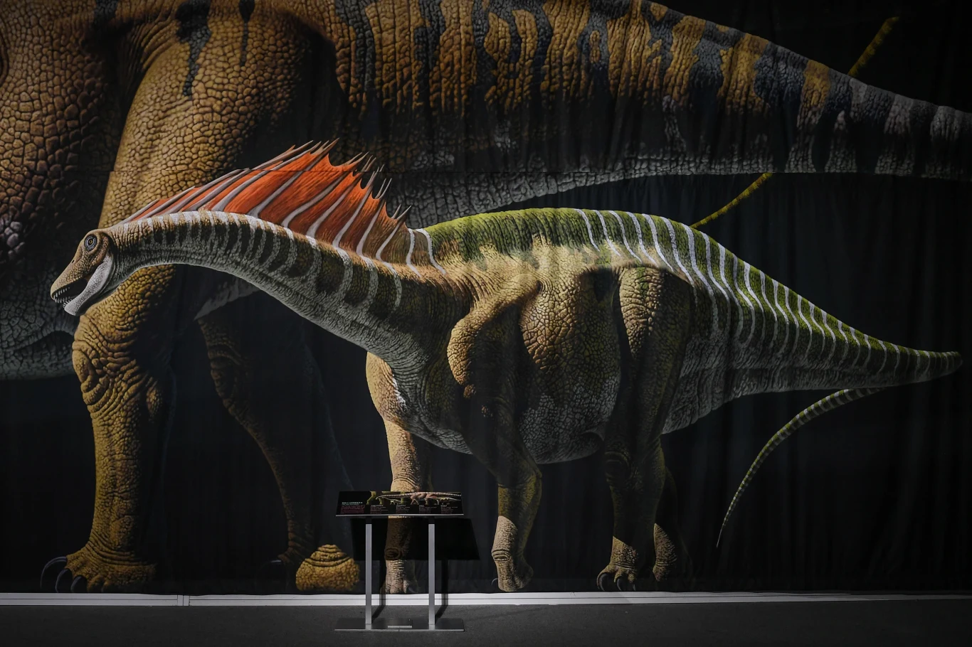 Kolorowa ilustracja dinozaura z wyeksponowanymi, pomarańczowymi kolcami na grzbiecie na tle czarnej ściany, na pierwszym planie niewielki stolik z modelem szkieletu.