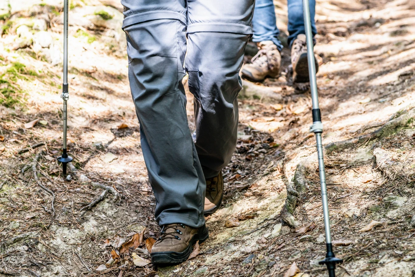 Spodnie trekkingowe z odpinanymi nogawkami mogą przydać się nie tylko w góry, ale i na wszelkie aktywności na świeżym powietrzu Wędrowcy w górskich butach schodzą szlakiem leśnym, używając kijków trekkingowych; ziemista ścieżka z korzeniami i liśćmi, promienie słońca przebijają się przez drzewa.