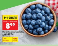 Borówka amerykańska K!