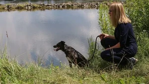 Ojciec Mateusz -  Odcinek 310: "Lassie, zostań"