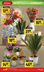 Bogactwo lady! - Polomarket