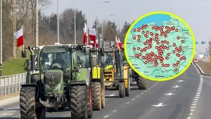 Interaktywna mapa protestów. Gdzie spodziewać się rolników?