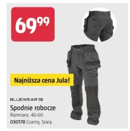 Spodnie robocze Bluewear