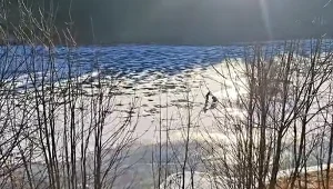 Kobieta wybrała się na łyżwy z dziecięcym wózkiem