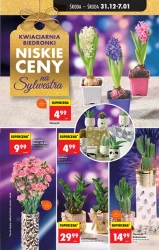 З Новим роком! - Бєдронк