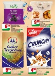 Szczęśliwego Nowego Roku - Dino