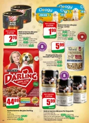 Szczęśliwego Nowego Roku - Dino