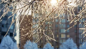 Takiego mrozu dawno nie było