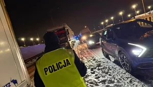 Benzyna, diesel czy elektryk. Który samochód przetrwa najdłużej w zaspie?