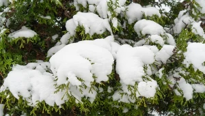 W przyszłym tygodniu wróci duży mróz i opady śniegu