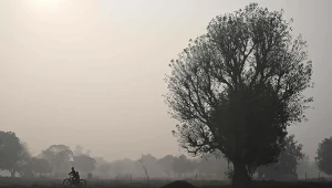 Apatia i depresja u dziesiątek milionów osób. Wdychamy je z powietrzem