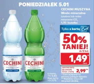 Мінеральна вода Cechini