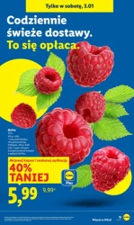 Styczeń za pół ceny! - Lidl
