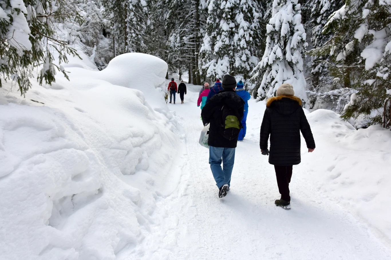 Propozycja zimowej wycieczki w góry. Szlak na Malinowską Skałę z Przełęczy Salmopolskiej to częsty wybór wśród turystów