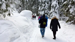 Ten szlak warto przejść zimową porą. Widoki i klimat robią wrażenie 
