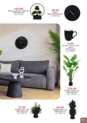 Супер знижки - Bodzio