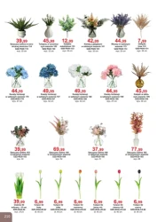 Супер знижки - Bodzio