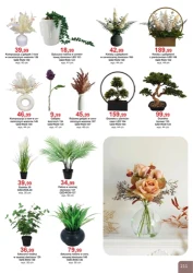 Супер знижки - Bodzio