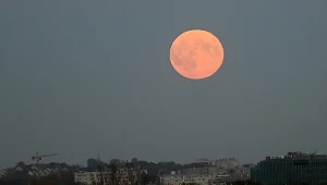 Dwa zaćmienia Księżyca w 2026 roku. Jedno zobaczymy w Polsce