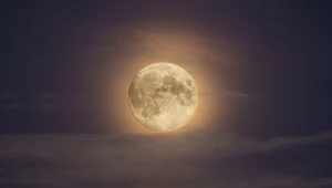 To będzie pierwsza pełnia 2026 roku. Wilczy Księżyc już wkrótce na niebie