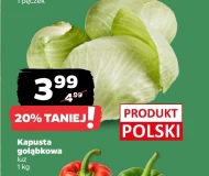 Kapusta Polski