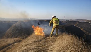 Nowe prawo przeciwpożarowe. Będą wyższe kary za wypalanie traw oraz rozniecanie ognia w lasach, na łąkach i torfowiskach