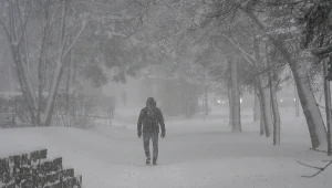 W wielu regionach Polski prognozowane są zamiecie i zawieje śnieżne. IMGW wydało ostrzeżenia I i II stopnia
