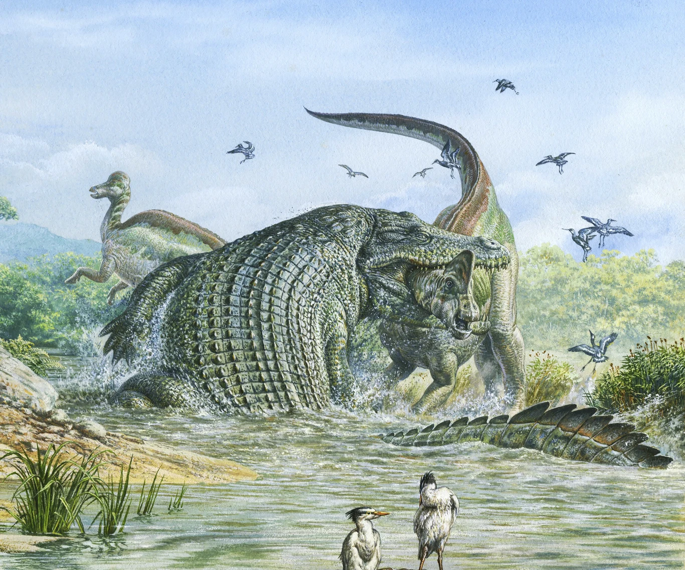 Gigantyczny prehistoryczny krokodyl atakuje dinozaura w płytkiej wodzie, wokół unoszą się ptaki i mniejsze dinozaury, krajobraz stanowią gęste zarośla i błękitne niebo.