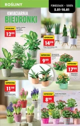 Codziennie niskie ceny - Biedrokna