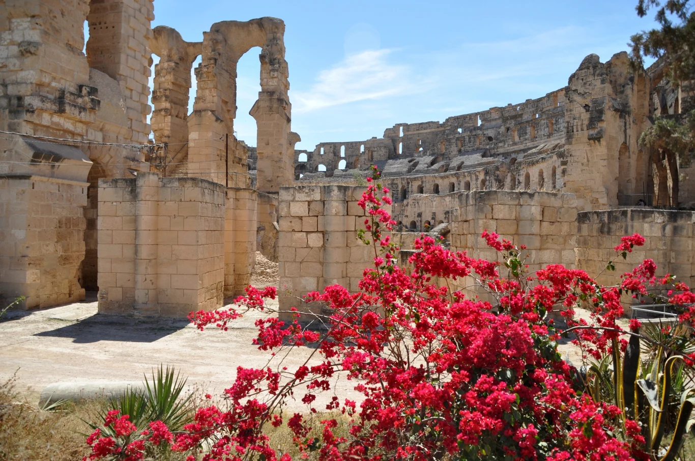 Tunezja zachwyca licznymi zabytkami. Wartym zobaczenia jest między innymi amfiteatr El Jem, który był tłem filmowym dla takich produkcji jak "Gladiator" czy "Troja" Tunezja zachwyca licznymi zabytkami. Wartym zobaczenia jest między innymi amfiteatr El Jem, który był tłem filmowym dla takich produkcji jak "Gladiator" czy "Troja"