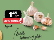 Czosnek