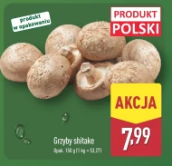 Grzyby Katarzyna Stoparczyk