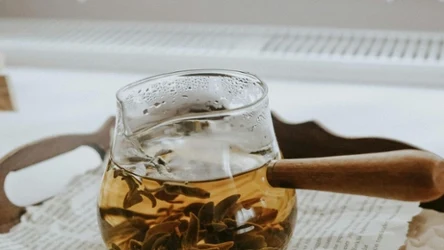 Napar z białej morwy obniża cukier i pomaga schudnąć