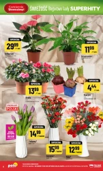 Свіжі суперхіти - POLOmarket