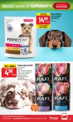 Świeże superhity - POLOmarket