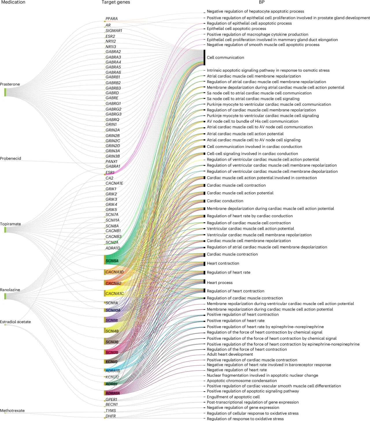 Kolorowy wykres ilustrujący powiązania między nazwami leków, grupami genów docelowych i procesami biologicznymi regulowanymi przez te geny. Każda linia łączy konkretny lek z odpowiednim genem i opisuje funkcję biologiczną związaną z jego regulacją.
