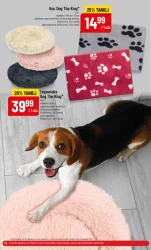 Pełnia smaku dla Twojego pupila! - POLOmarket