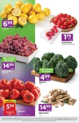 Przekąski na start - Stokrotka Express