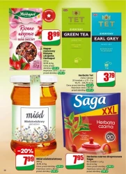 Codzienne hity dla domu - Dino